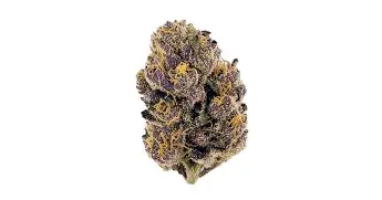 A Professional's Take on the New Purple Slush