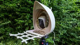 I Tested the Peckperk Smart Bird Feeder Camera for a Month: Here is My Verdict
